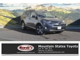 2017 Magnetic Gray Metallic Toyota RAV4 XLE AWD #116944320