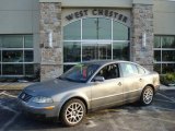 Stonehenge Grey Metallic Volkswagen Passat in 2004