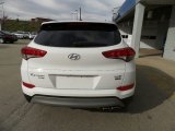 2017 Hyundai Tucson Eco AWD Marks and Logos