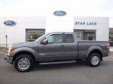2013 Sterling Gray Metallic Ford F150 Lariat SuperCab 4x4 #117041813