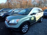 2008 Green Tea Metallic Honda CR-V EX 4WD #117062854