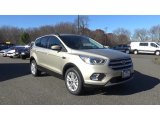 2017 White Gold Ford Escape SE 4WD #117091573