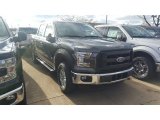 2016 Magnetic Ford F150 XLT SuperCrew 4x4 #117131616