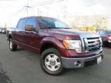 2010 Ford F150 XLT SuperCrew