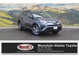 2017 Magnetic Gray Metallic Toyota RAV4 LE #117228018