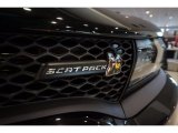 2017 Dodge Charger R/T Scat Pack Marks and Logos