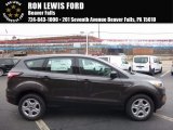 2017 Magnetic Ford Escape S #117319197