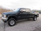 Estate Green Metallic Ford F250 Super Duty in 2004