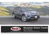 2017 Magnetic Gray Metallic Toyota RAV4 Limited AWD #117592940