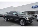 2017 Magnetic Ford F150 XL SuperCrew #117634749