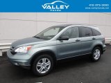 2010 Opal Sage Metallic Honda CR-V EX AWD #117761523