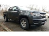 2017 Cyber Gray Metallic Chevrolet Colorado WT Crew Cab 4x4 #117761538