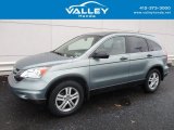 2010 Opal Sage Metallic Honda CR-V EX AWD #117841672