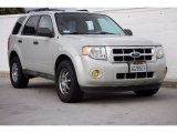 2009 Light Sage Metallic Ford Escape XLT #117867351