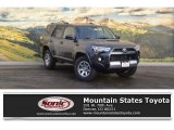 2016 Magnetic Gray Metallic Toyota 4Runner Trail 4x4 #117890680