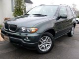 2005 BMW X5 3.0i