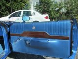 1971 Plymouth Satellite Road Runner Door Panel