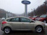 2016 Tectonic Ford Focus SE Hatch #118008484