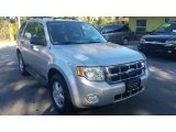 Brilliant Silver Metallic Ford Escape in 2009