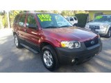 2006 Ford Escape XLT V6 4WD Front 3/4 View