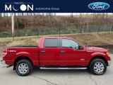 2014 Race Red Ford F150 XLT SuperCrew 4x4 #118200501