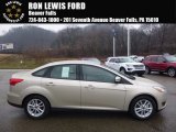 2017 White Gold Ford Focus SE Sedan #118221322