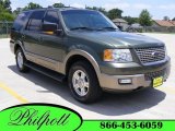 2003 Estate Green Metallic Ford Expedition Eddie Bauer 4x4 #11811126