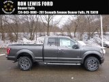 2017 Magnetic Ford F150 XLT SuperCab 4x4 #118361652