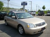 2006 Light French Silk Metallic Mercury Montego Luxury #11805851