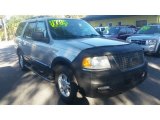 2005 Silver Birch Metallic Ford Expedition XLT #118434756