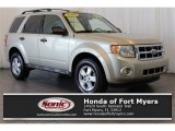 2010 Gold Leaf Metallic Ford Escape XLT #118538051