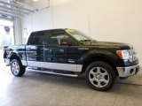 2013 Ford F150 XLT SuperCrew 4x4