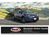 2017 Magnetic Gray Metallic Toyota RAV4 LE AWD #118762805