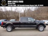 2017 Shadow Black Ford F250 Super Duty Platinum Crew Cab 4x4 #118826457