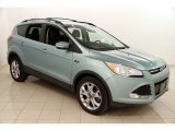 2013 Frosted Glass Metallic Ford Escape SEL 2.0L EcoBoost 4WD #118826670