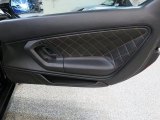 2014 Lamborghini Gallardo LP560-4 Spyder Door Panel
