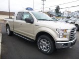 White Gold Ford F150 in 2017