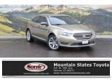 Green Gem Metallic Ford Taurus in 2013