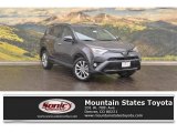 2017 Magnetic Gray Metallic Toyota RAV4 Limited AWD #118949608