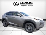 Silver Lining Metallic Lexus NX in 2017