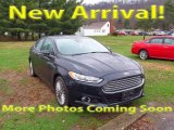 2014 Sterling Gray Ford Fusion Titanium #119022902