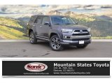 2017 Magnetic Gray Metallic Toyota 4Runner Limited 4x4 #119050721