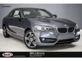 2017 Mineral Grey Metallic BMW 2 Series 230i Coupe #119050862