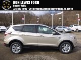2017 White Gold Ford Escape SE 4WD #119050776
