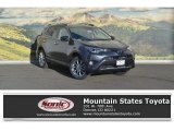 2017 Magnetic Gray Metallic Toyota RAV4 Limited AWD #119090499