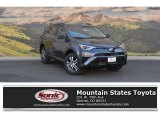 2017 Magnetic Gray Metallic Toyota RAV4 LE #119134867