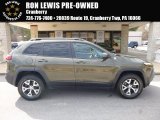 2016 ECO Green Pearl Jeep Cherokee Trailhawk 4x4 #119135040