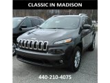 2017 Granite Crystal Metallic Jeep Cherokee Latitude 4x4 #119135439