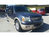 Medium Wedgewood Blue Metallic Ford Expedition in 2006