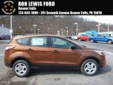 2017 Canyon Ridge Ford Escape S #119281036